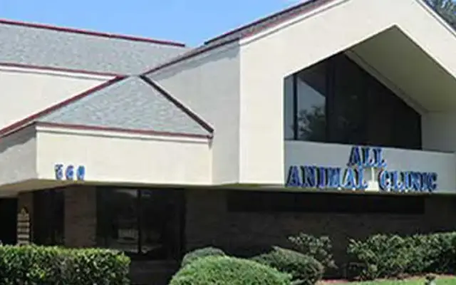 VCA All Animal Hospital of Orange Park in Orange Park, FL