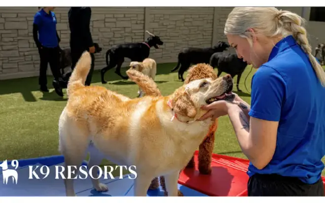 K9 Resorts Luxury Pet Hotel Chalfont in Chalfont, PA