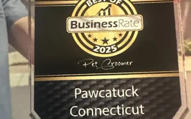 Grooming with finn in Pawcatuck, CT