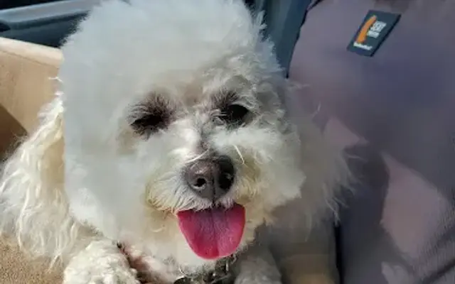 Sandy's Grooming Parlor in North Hollywood, CA