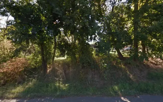 Pics & Snips in Millstone Township, NJ