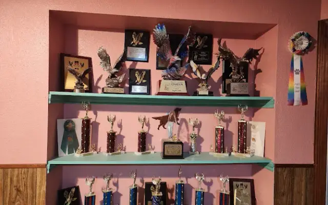 Dreamy Dogs Pet Salon & Hotel in Gun Barrel City, TX