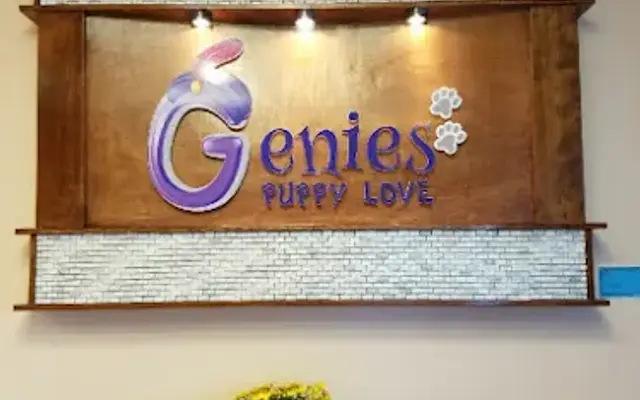 genies puppy love in Elizabeth, CO