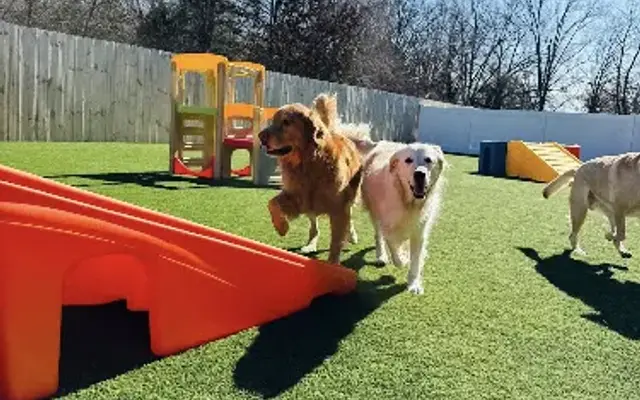 Hounds Hideaway - East Conway in Conway, AR