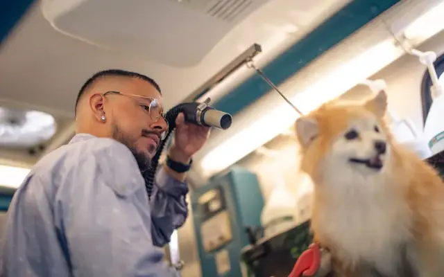 Bark Barber Mobile Spa in San Fernando, CA