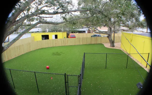 Barks & Recreation in Seminole, FL