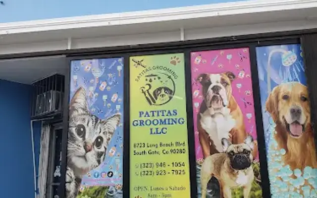 Patitas Grooming LLC in South Gate, CA