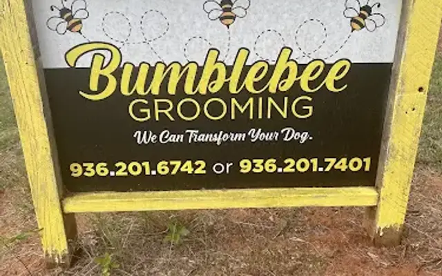 Bumblebee Grooming in San Augustine, TX