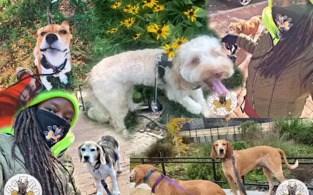 Retro Pupz in Fairfax, VA