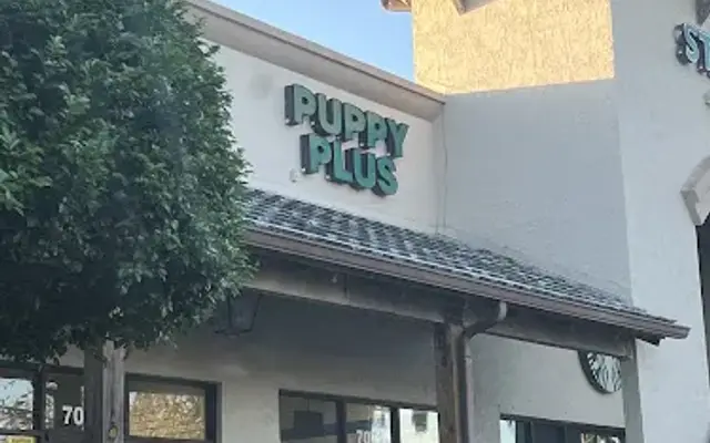Puppy Plus in Parkland, FL
