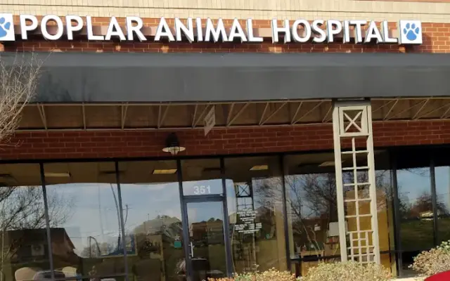 Poplar Animal Hospital in Concord, NC