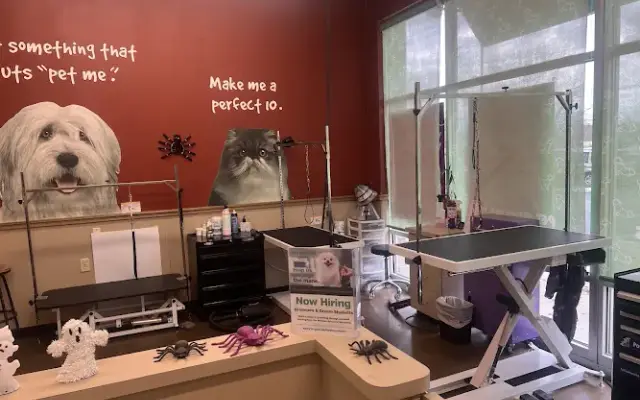 Pet Supplies Plus Delaware Grooming in Delaware, OH