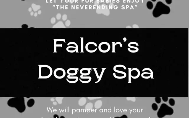 Falcor's Doggy Spa in Kingwood, TX