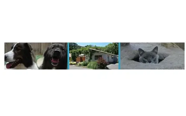 Rock Creek Kennels in Hillsboro, OR