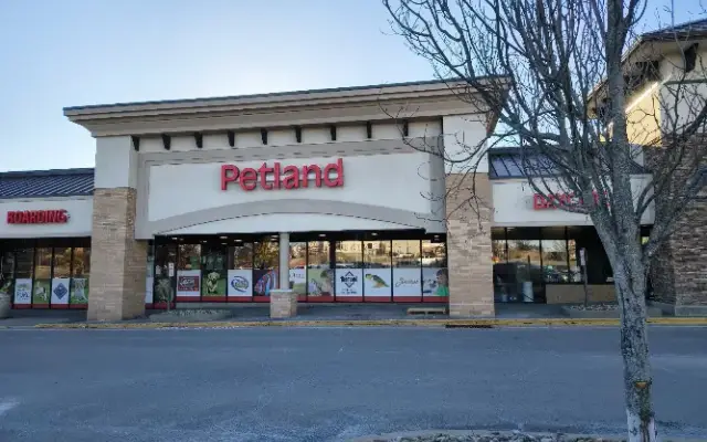 Petland Norwin in North Huntingdon, PA