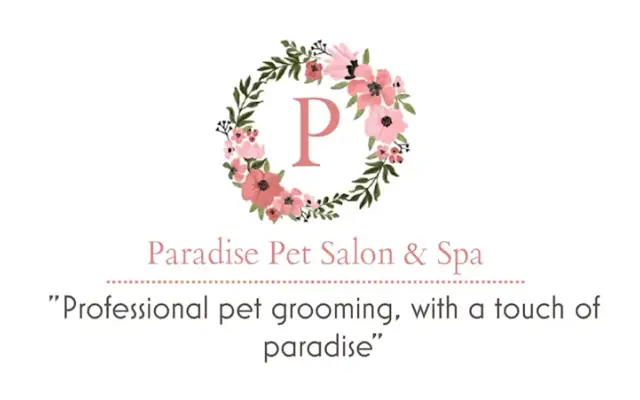 dog Groomer in Moorpark, CA