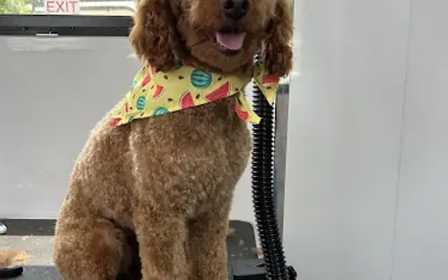 Lakeside Grooming & Pet Supply LLC in Austin, TX