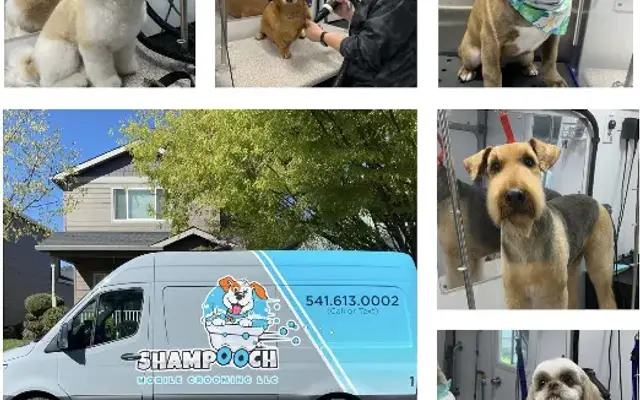 Shampooch Mobile Grooming in Medford, OR