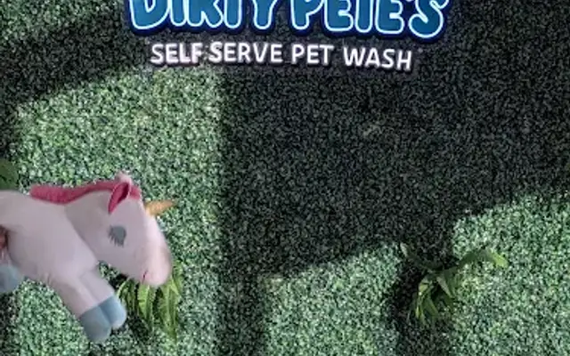Dirty Pete’s Self Serve Pet Wash in Horizon City, TX