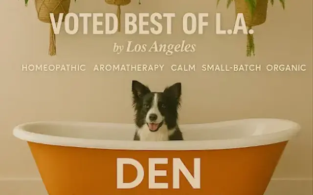 DEN Urban Dog Retreat Grooming Daycare in Los Angeles, CA