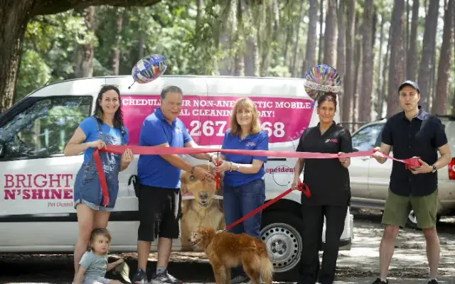 Bright N Shine Pet Dental of Savannah in Pooler, GA