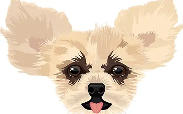 Coastal Bend Small Breed Rescue in Corpus Christi, TX