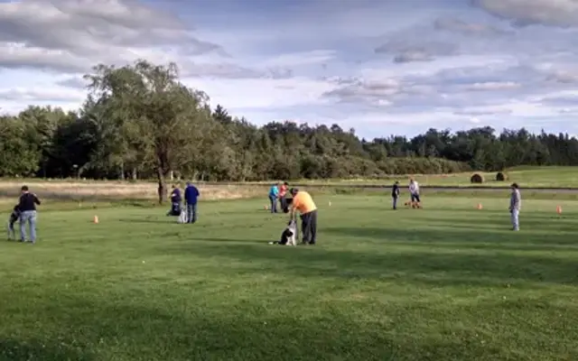 RR Professional Dog Training & Boarding in Carlton, MN
