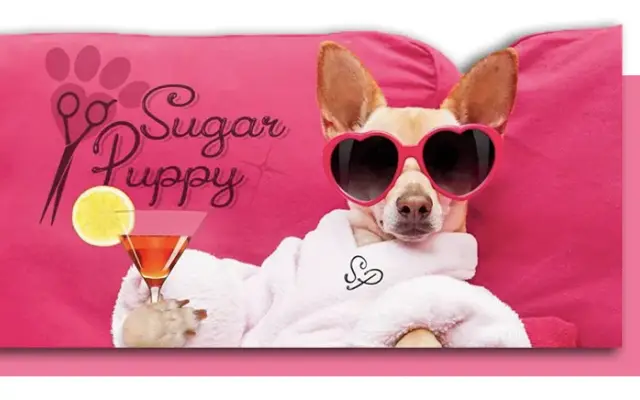 Sugar Puppy Grooming & Spa in Palm Beach Gardens, FL
