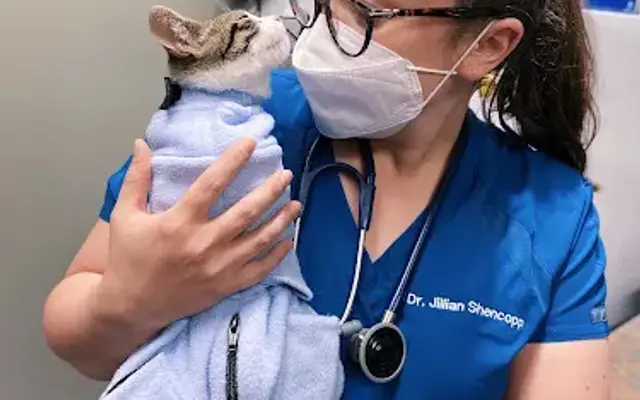 Greenfield Animal Hospital in Southfield, MI