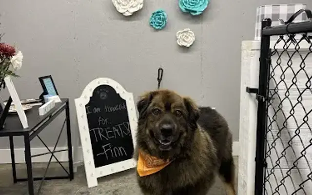 GG's Grooming in Pendleton, IN