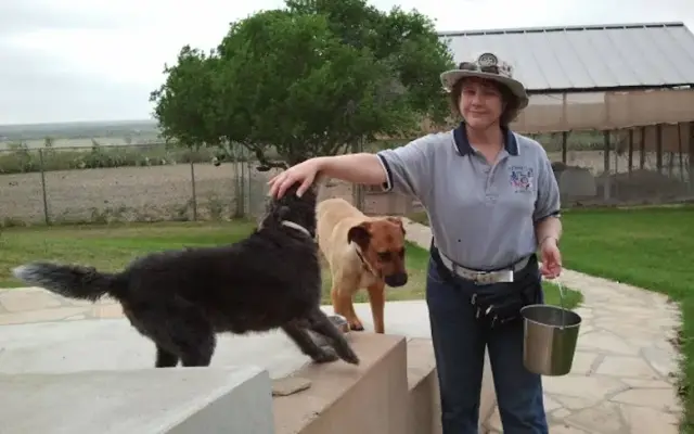 Jet's Pets & Jules' Pools in Sabinal, TX
