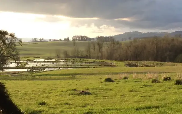 Ankeny Hill Resort & Boarding in Jefferson, OR