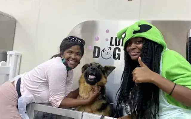 Luna's Dog Wash in Glendora, CA