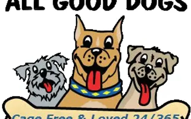 All Good Dogs Daycare in Monmouth Junction, NJ