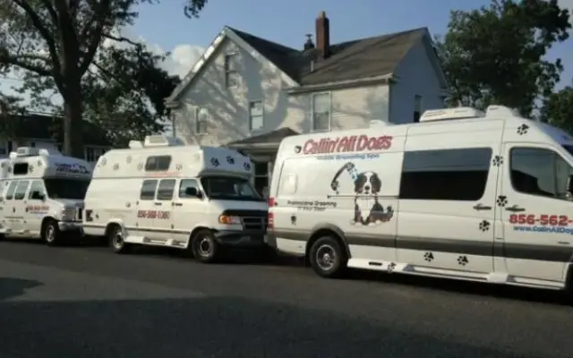 Callin' All Dogs in Clarksboro, NJ
