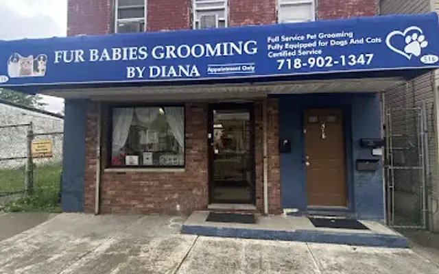 Fur Babies Grooming By Diana in Staten Island, NY