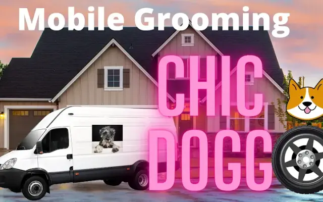 Chic DogGo in Hillsborough Township, NJ