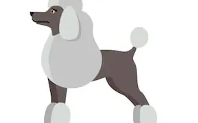 T N T Mobil Pet Grooming Services in Independence, MO