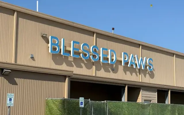 Blessed Paws Luxury Pet Resort in Spring, TX