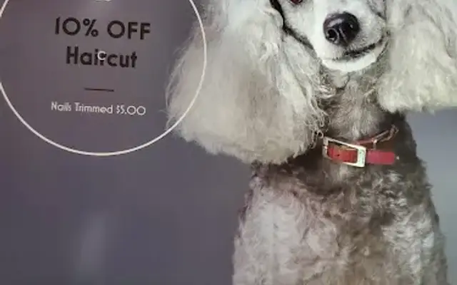 Shannon's Happy Tails Dog Grooming in Sebeka, MN