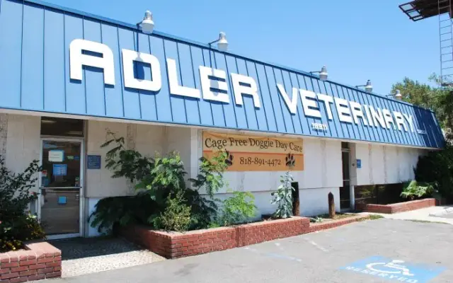 VCA Adler Pet Resort in North Hills, CA