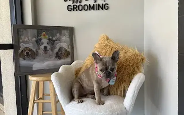 Doggy Day Spa Grooming in Oswego, IL