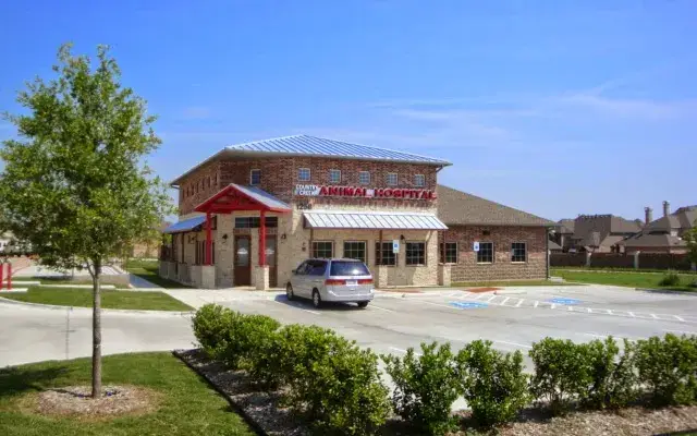 Country Creek Animal Hospital in Allen, TX