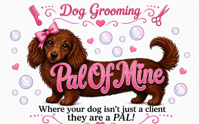 Pal of Mine Dog Grooming in O'Fallon, IL