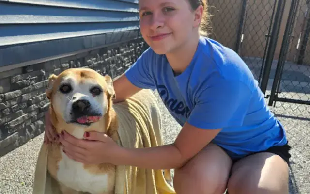 Hailee’s Dog Grooming in Akron, NY