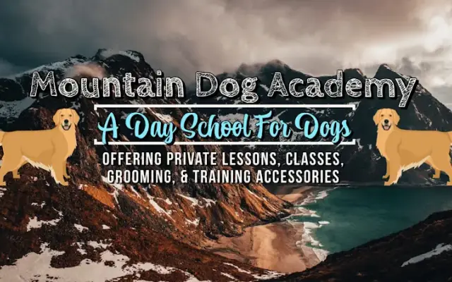 Mountain Dog Academy in North Adams, MA