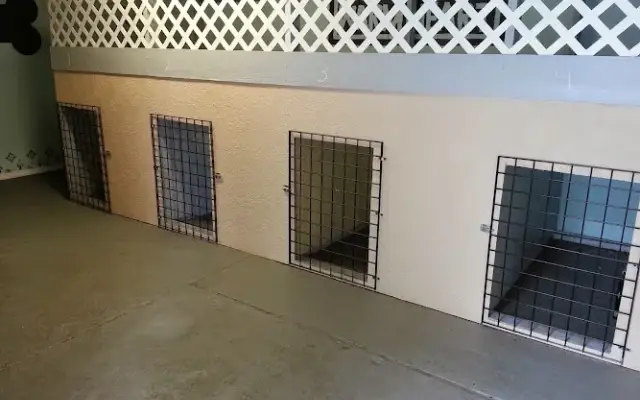 4 Paws Doggie Care in Tampa, FL