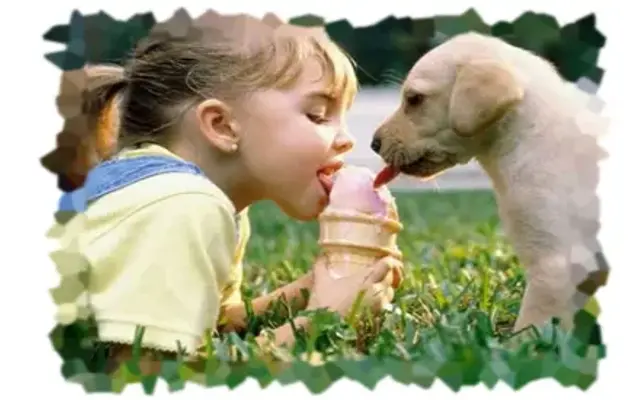 Good Dog Pet Grooming in Hixson, TN