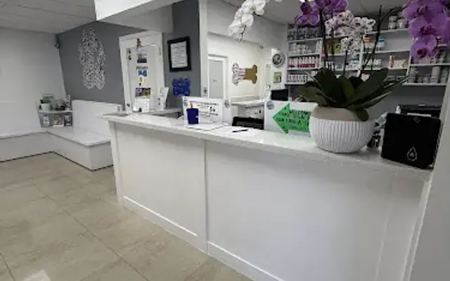 Miami Springs Animal Hospital in Miami Springs, FL