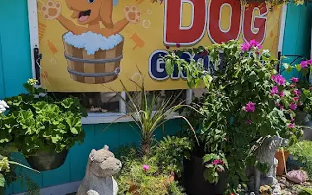 Jenny's Puppypaws & Kittyclaws in Southport, NC